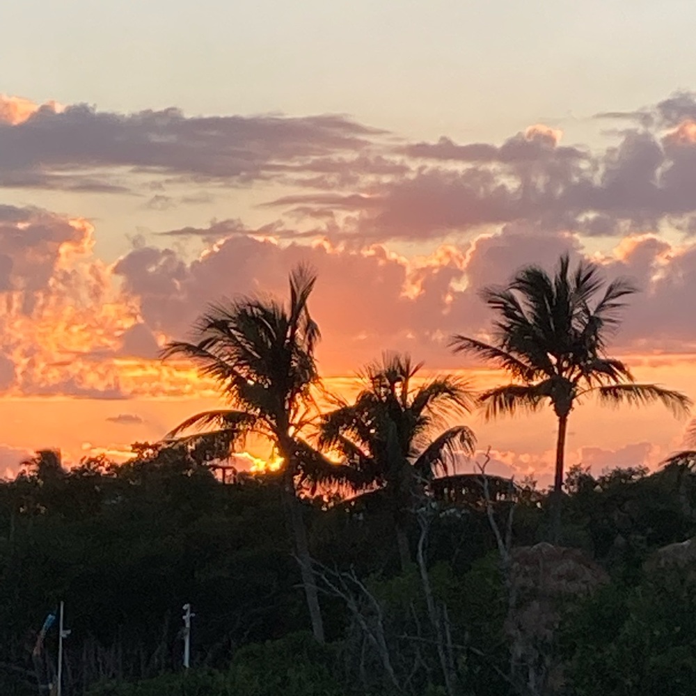 Meet your Posher, Shirl